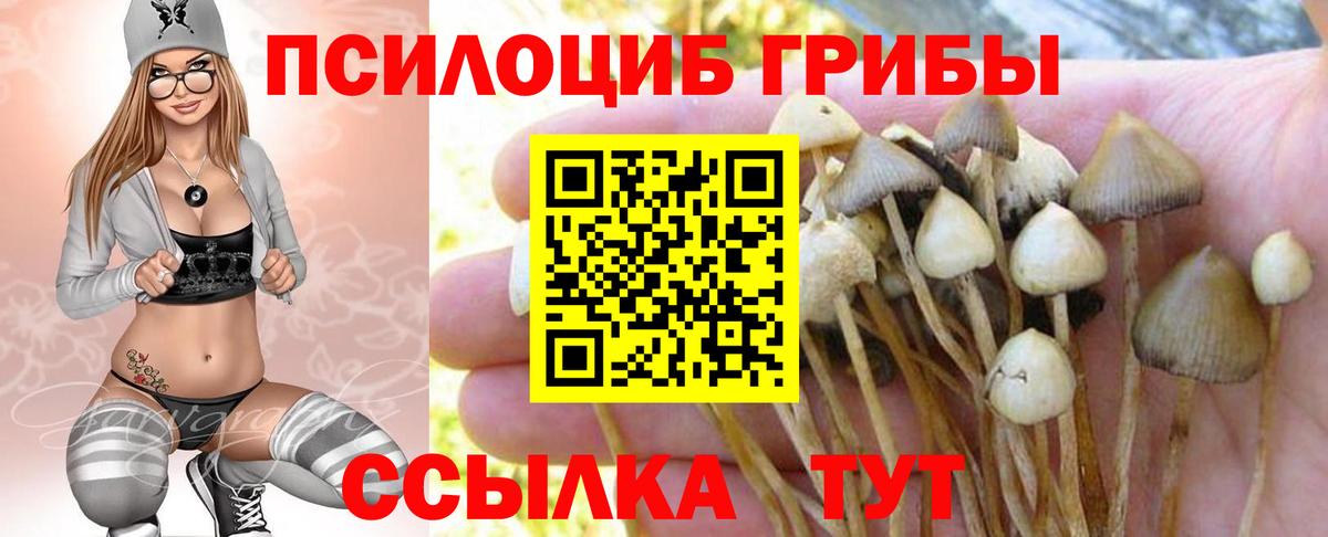 Галлюциногенные грибы GOLDEN TEACHER Тара