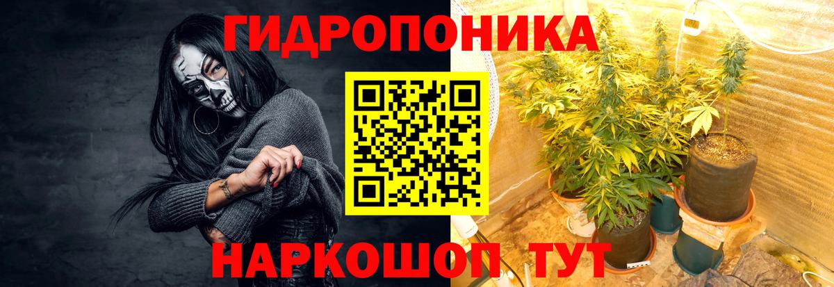 Марихуана планчик  Канабис ГИДРОПОН  Каннабис THC 21%  Вход с VPN  Тара 